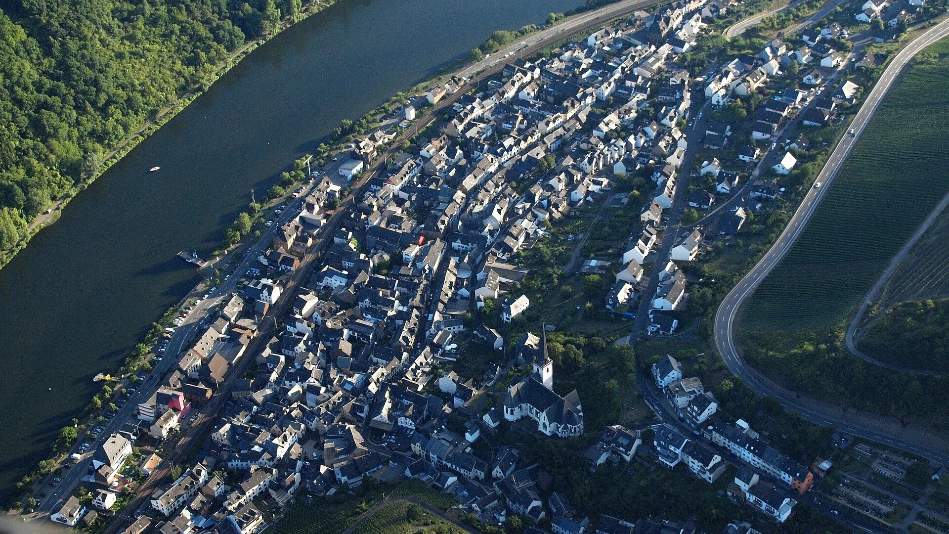 Luftbild von Klotten an der Mosel: der Ort im Flussbogen, ringsum Weinberge und bewaldete Schieferhänge