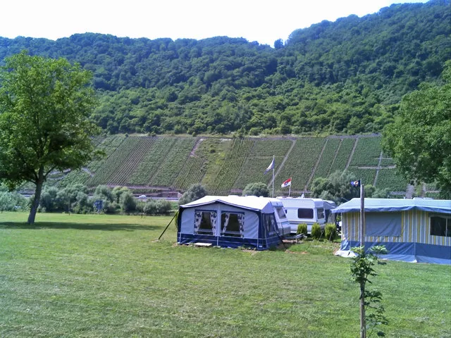 Wohnwagen mit Vorzelten auf einer Wiese am Moselufer, dahinter terrassierte Weinberge und bewaldeter Hang