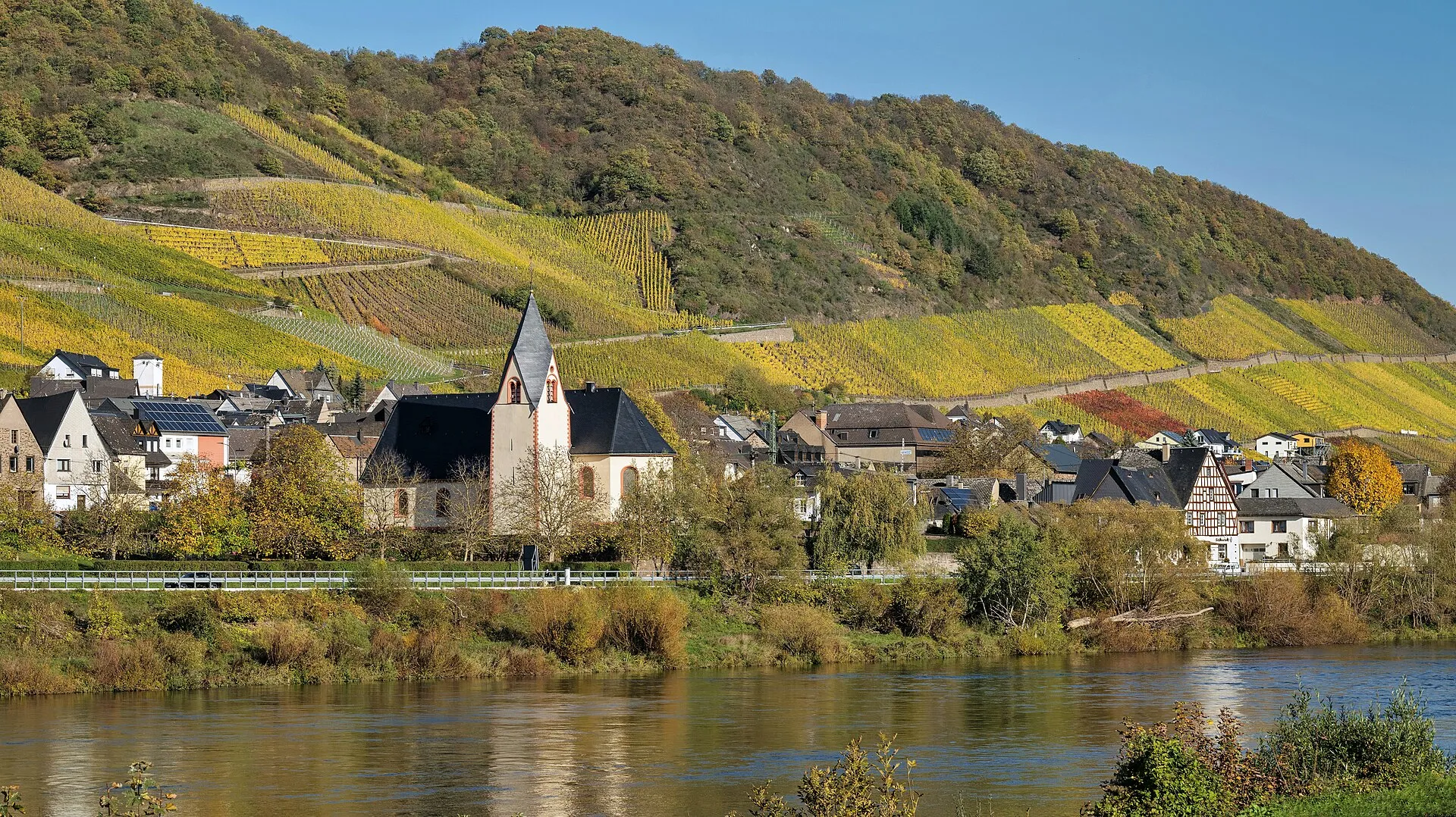 Blick über die Mosel auf Müden mit der Pfarrkirche und den herbstlich gefärbten Weinbergen dahinter