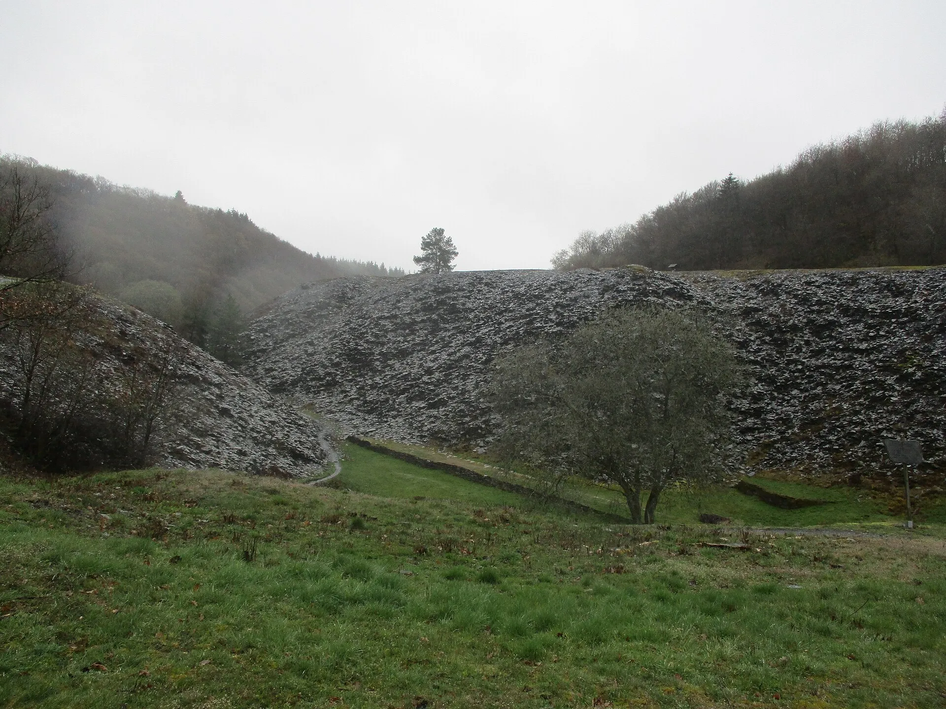 Schieferhalden im Kaulenbachtal über einem Wiesengrund, davor ein schmaler Pfad, eine Trockenmauer und eine Infotafel