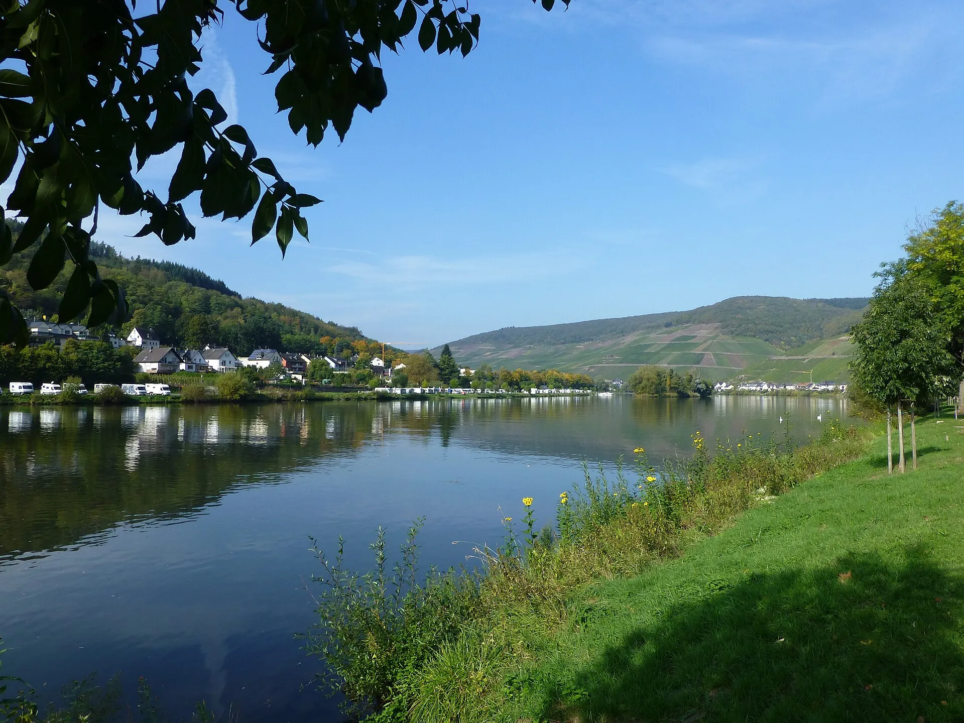 Blick über den Fluss auf eine Reihe weißer Wohnmobile am gegenüberliegenden Ufer, dahinter Häuser und Weinberge