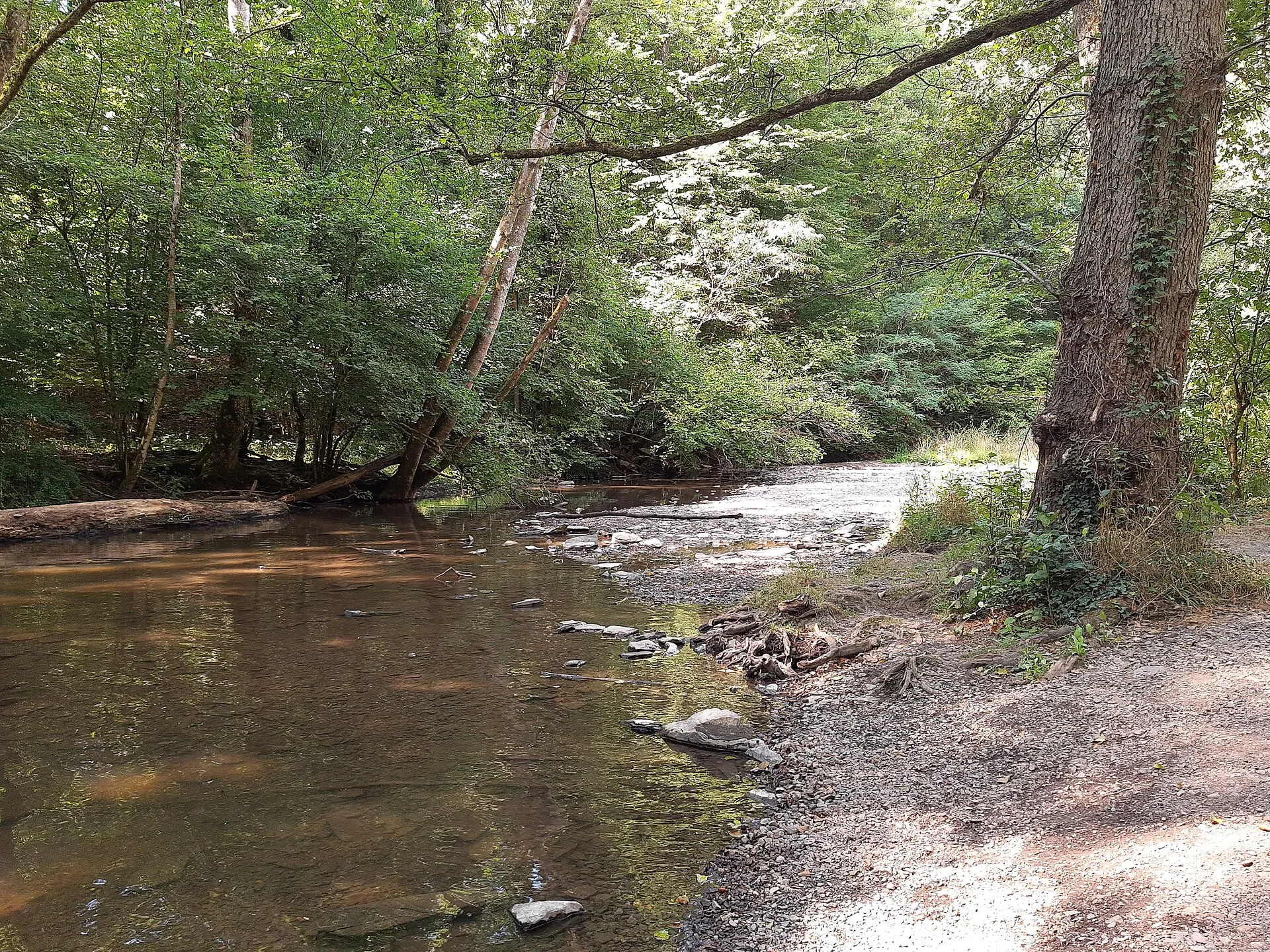 Der Elzbach bei Moselkern an der Stelle, wo der Fahrweg endet und der Wanderweg in den Wald führt