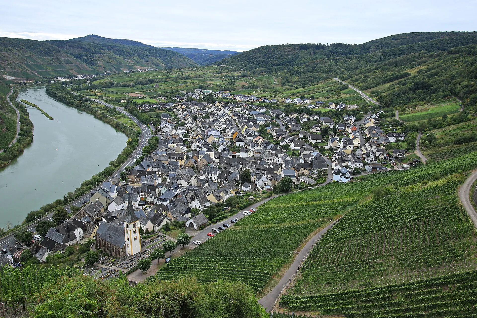 Blick vom Calmont auf den Weinort Bremm, die Moselschleife und die Weinberge über dem Ufer