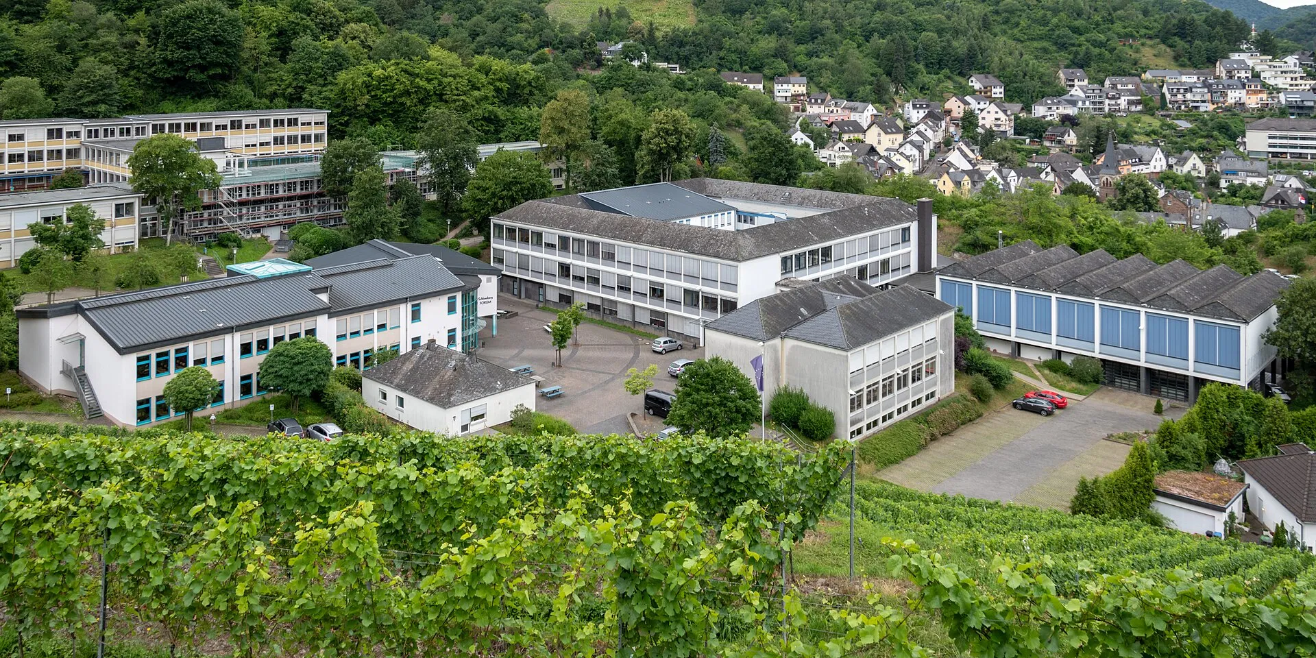 Die Schulgebäude von Realschule plus und Gymnasium in Cochem von oben, davor Weinberge, dahinter der Ort